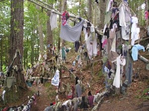 Scenery: Scottish Clootie